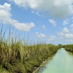 Private Muyil Ruins & Sian Ka’an Lagoon Tour