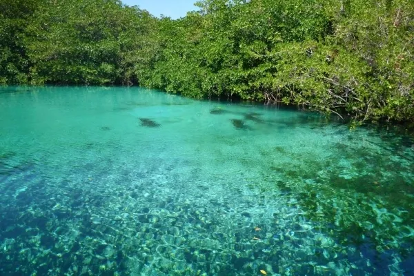 Private Muyil Ruins & Sian Ka’an Lagoon Tour